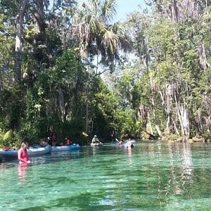 16789 SW 62ND ST, OCALA, FL, 34481