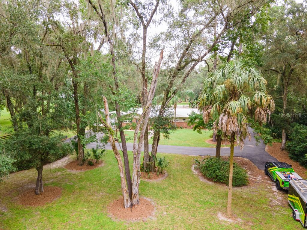 3341 SE 45TH ST, OCALA, FL, 34480