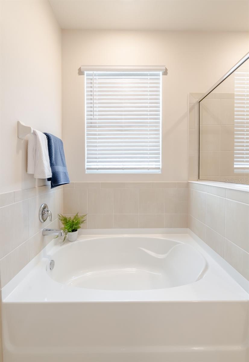 10889 TALLY FAWN LOOP, SAN ANTONIO, FL, 33576