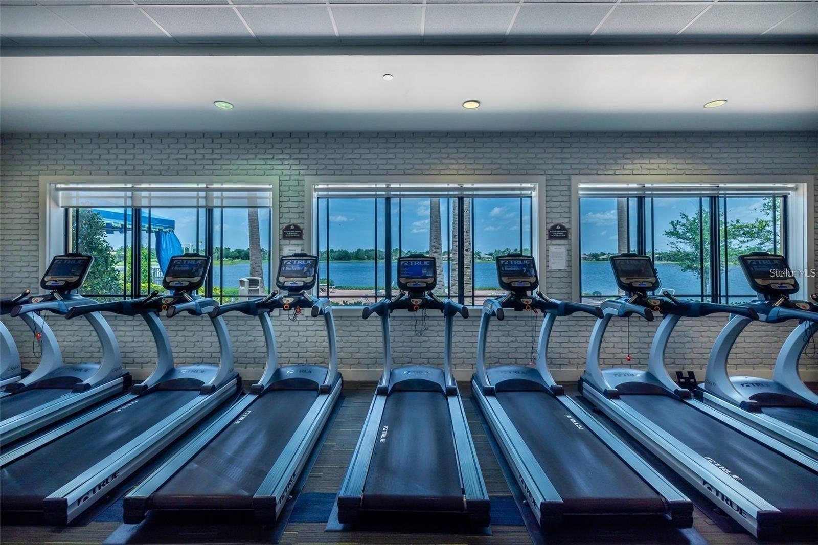 5006 RUBY FLATS DR, WIMAUMA, FL, 33598