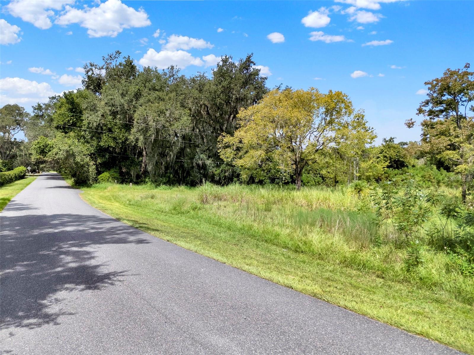 15325 TROUSDALE ST, CLERMONT, FL, 34715