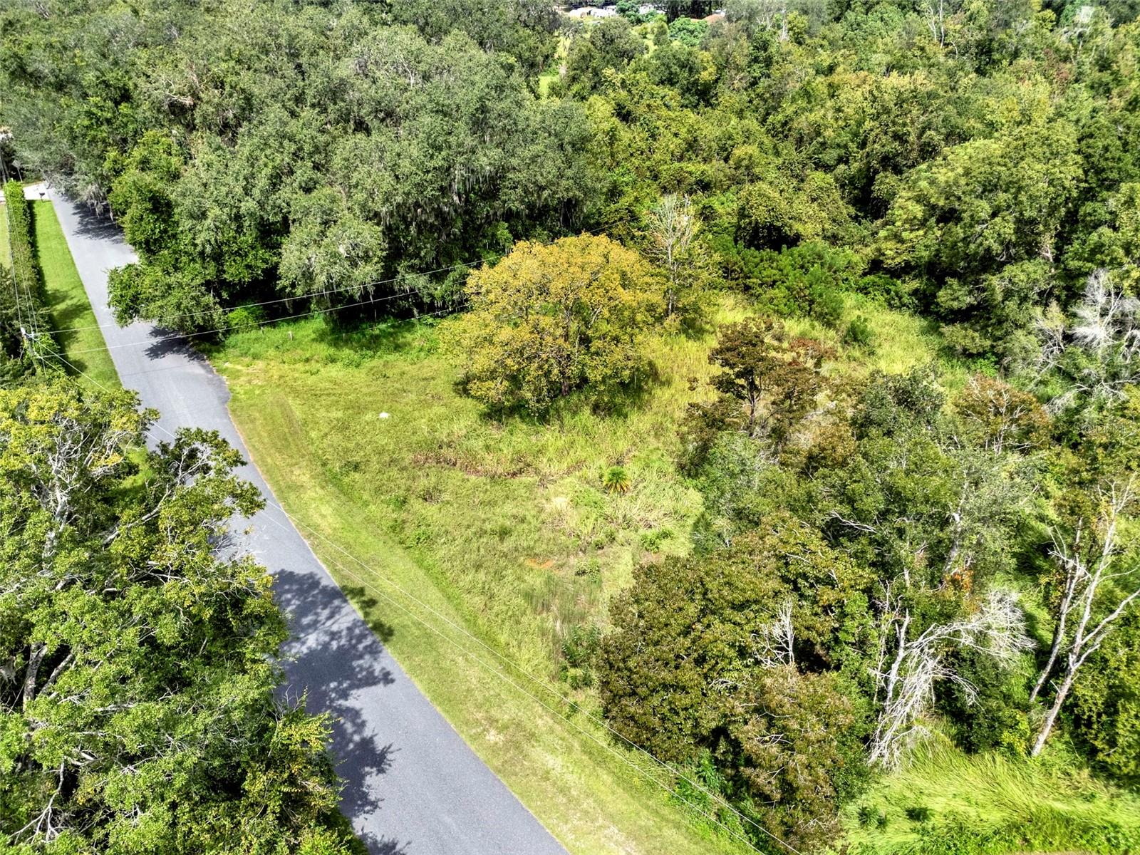 15325 TROUSDALE ST, CLERMONT, FL, 34715