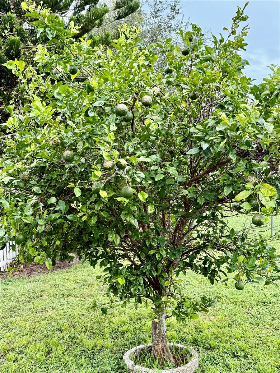 5302 TREKELL ST, NORTH PORT, FL, 34287