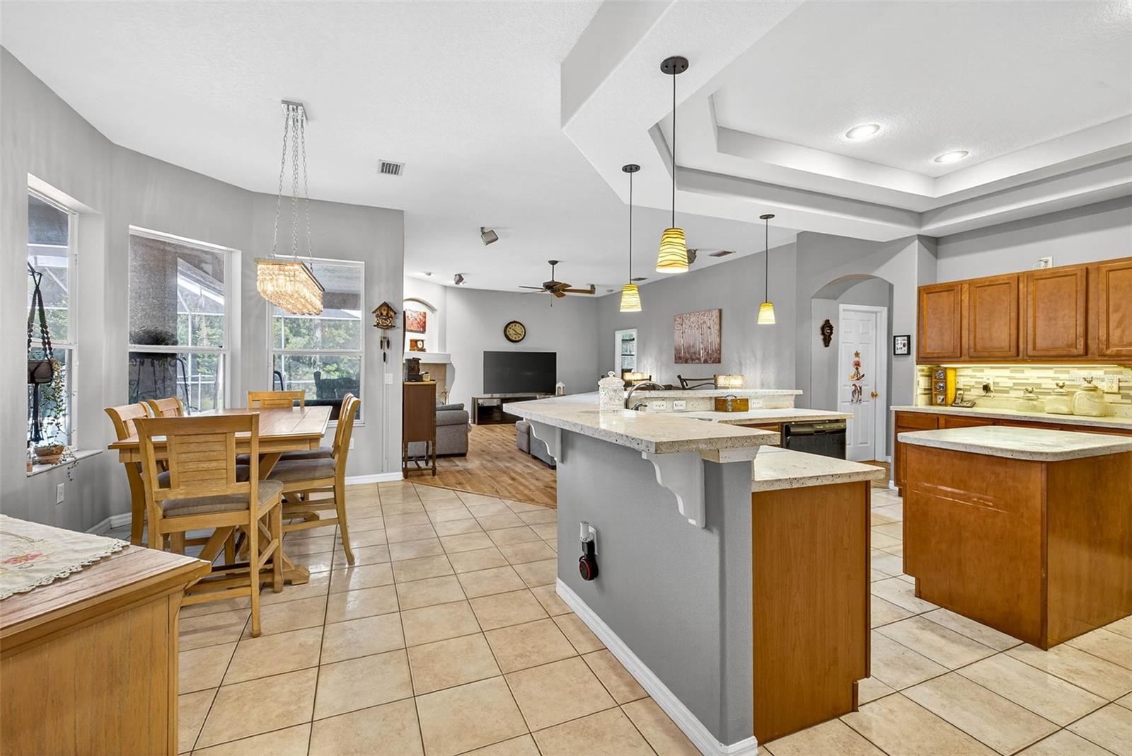 7911 PINE LANDS DR, WESLEY CHAPEL, FL, 33544