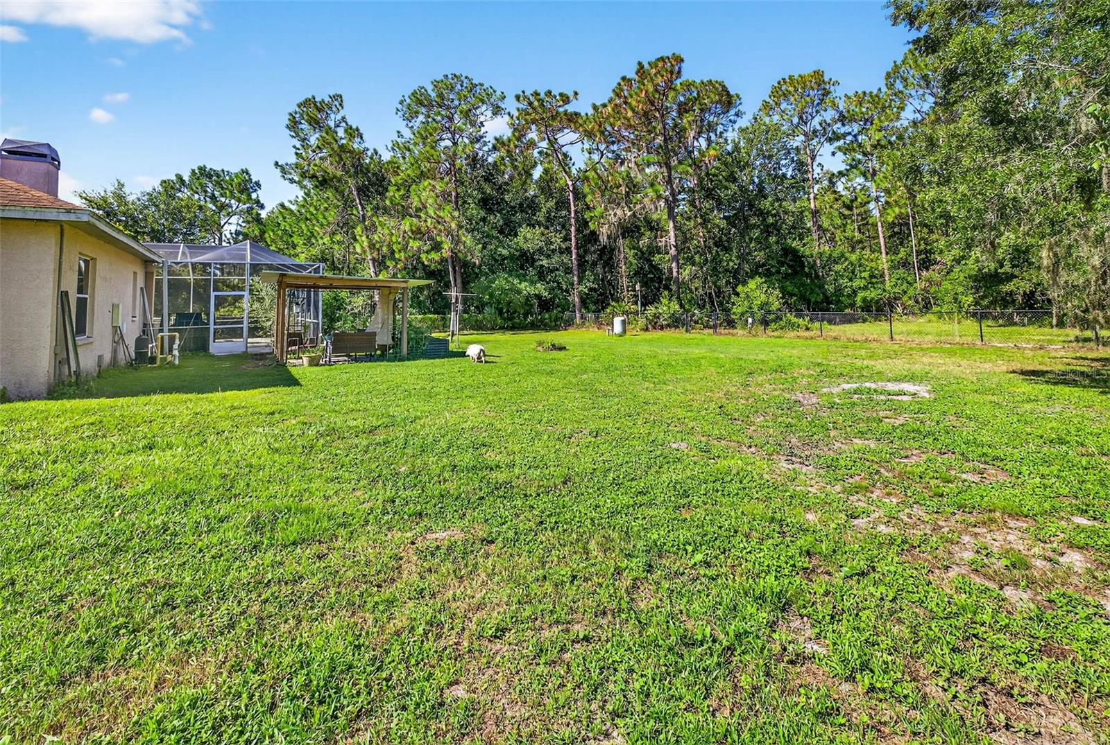 7911 PINE LANDS DR, WESLEY CHAPEL, FL, 33544