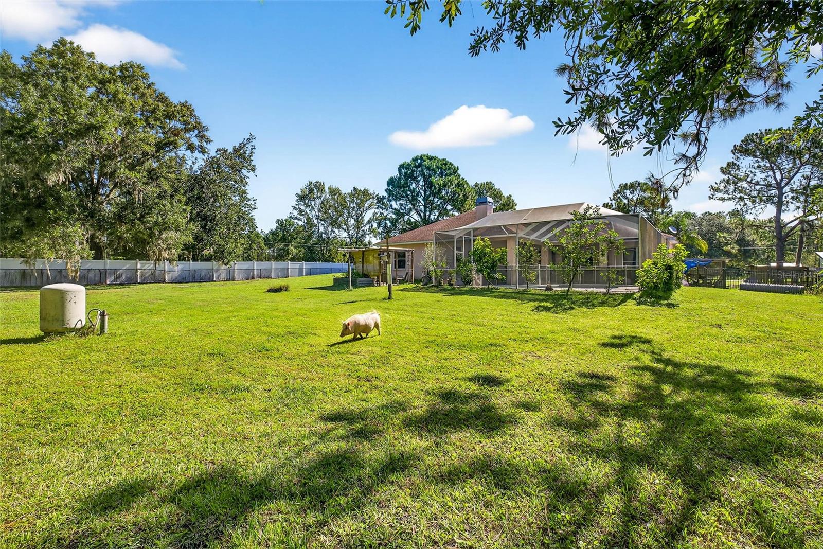 7911 PINE LANDS DR, WESLEY CHAPEL, FL, 33544