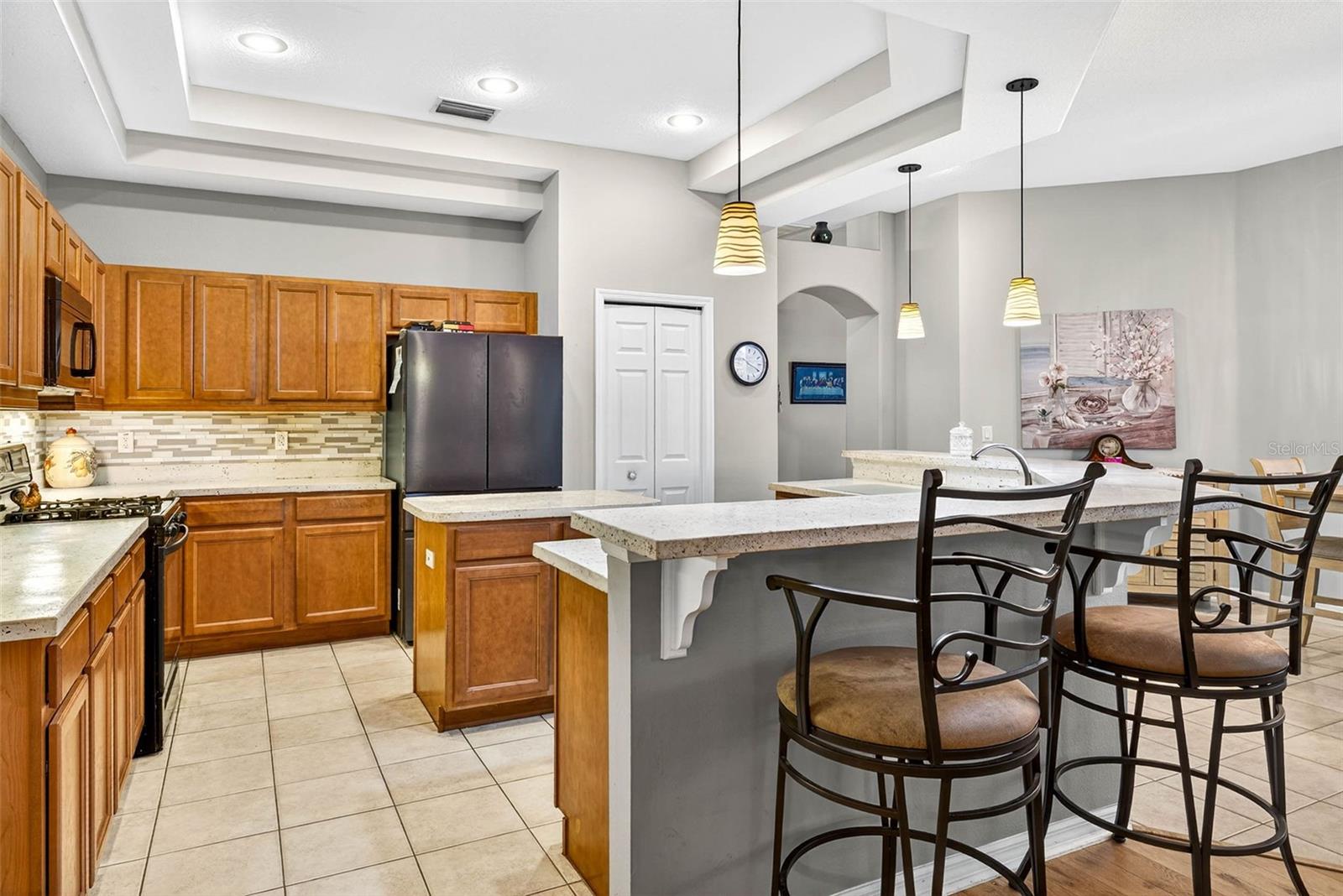 7911 PINE LANDS DR, WESLEY CHAPEL, FL, 33544