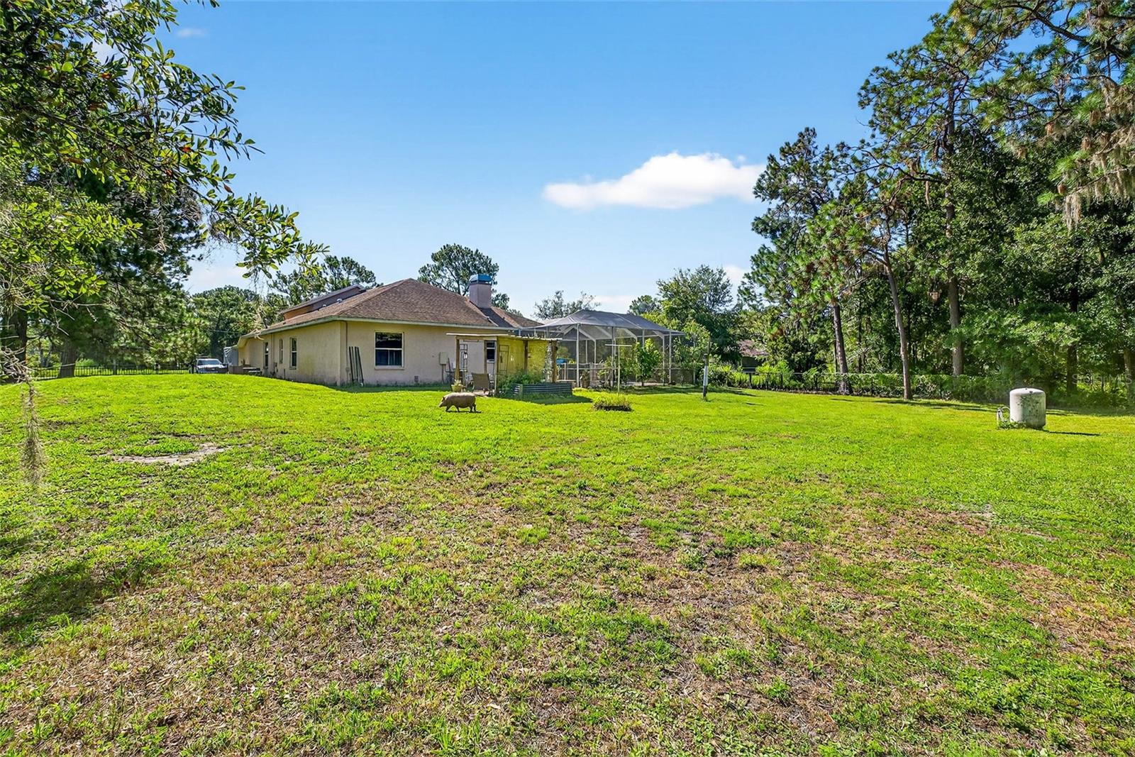 7911 PINE LANDS DR, WESLEY CHAPEL, FL, 33544