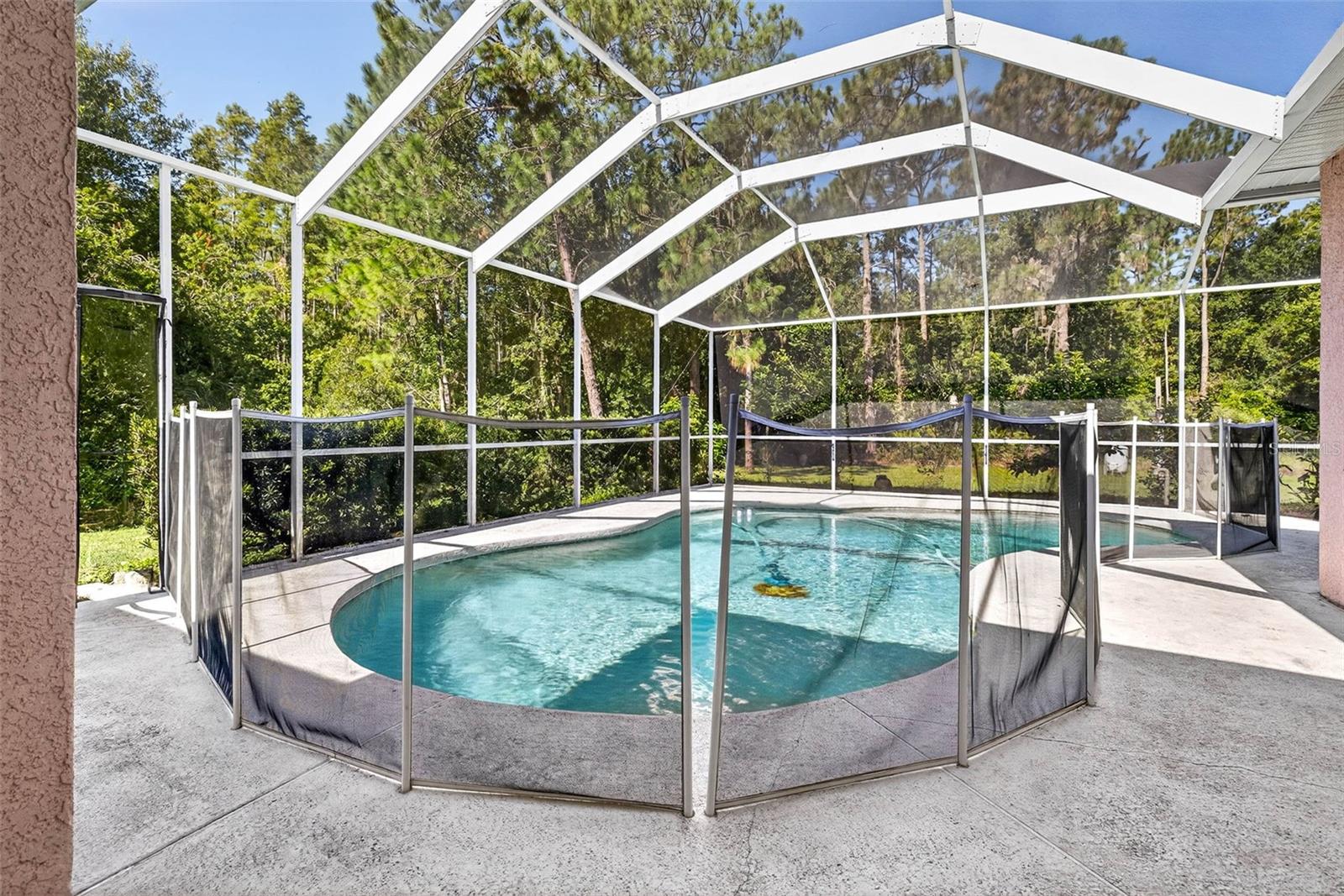 7911 PINE LANDS DR, WESLEY CHAPEL, FL, 33544