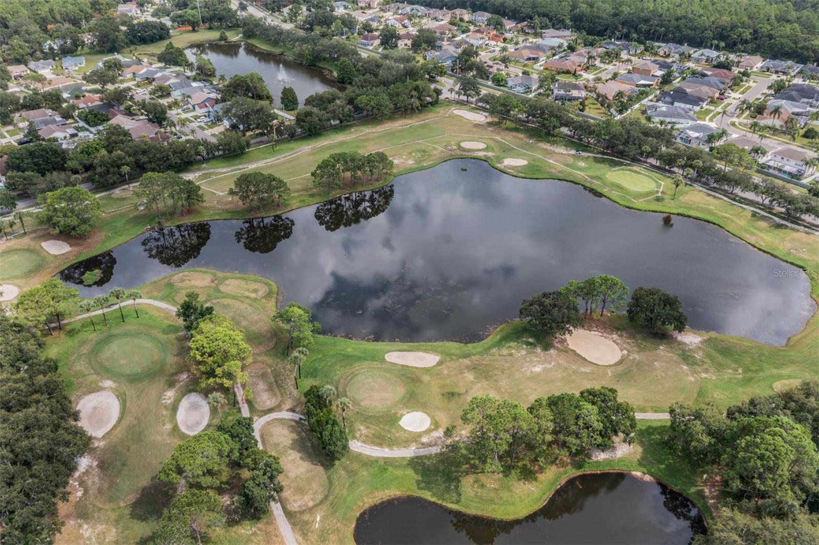 11209 POCKET BROOK DR, TAMPA, FL, 33635