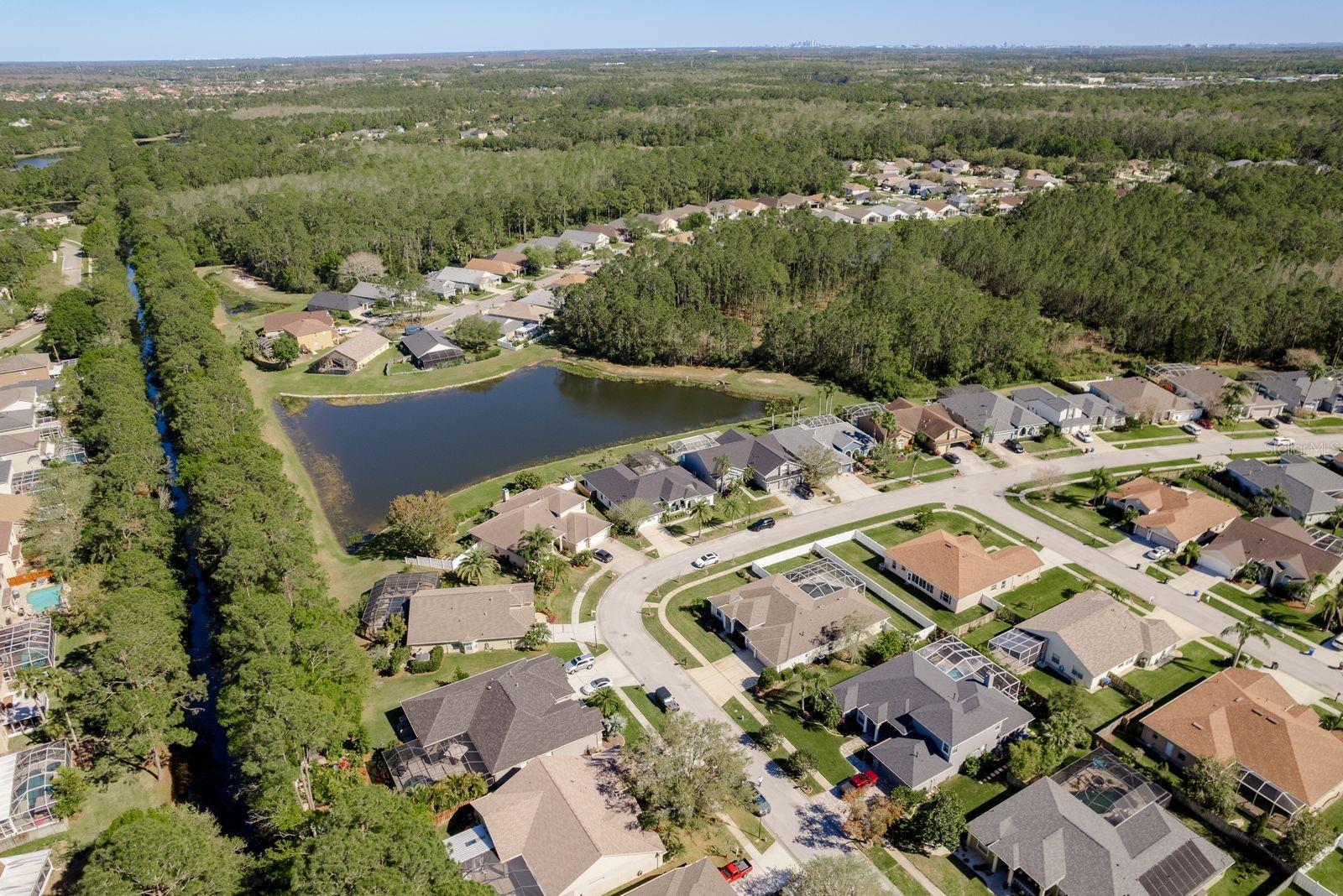 14712 CORAL BERRY DR, TAMPA, FL, 33626