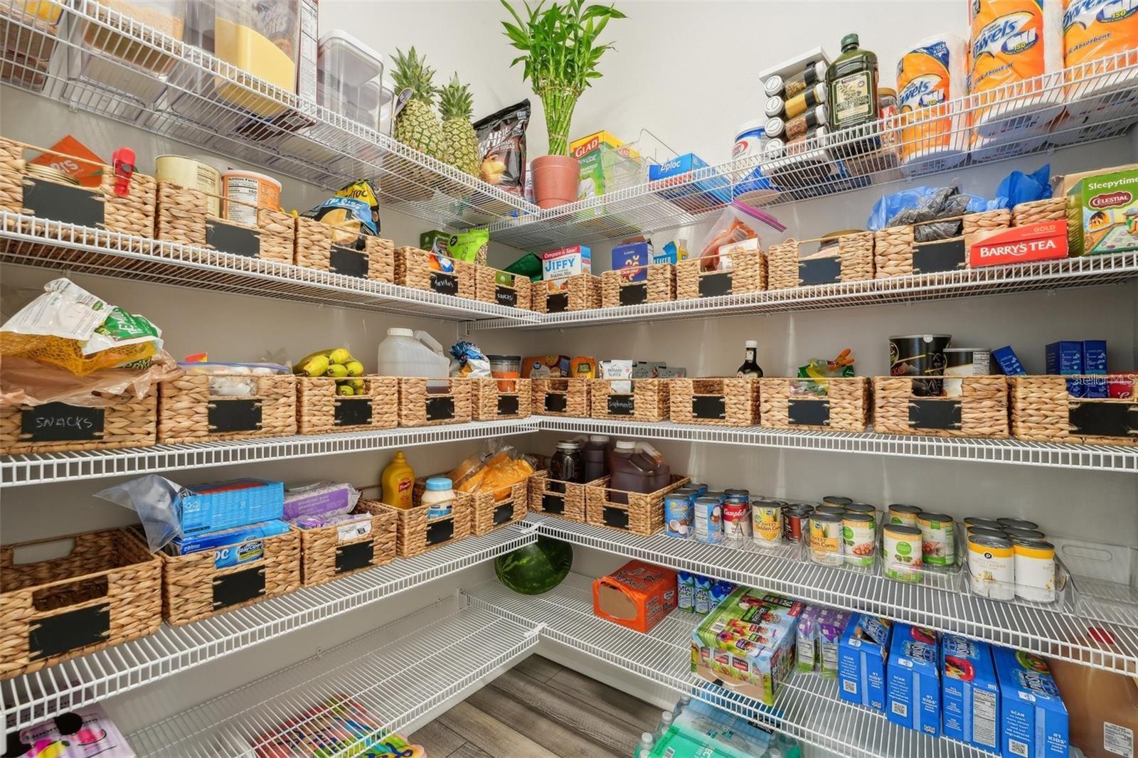 13098 WELLSPRING DR, LITHIA, FL, 33547