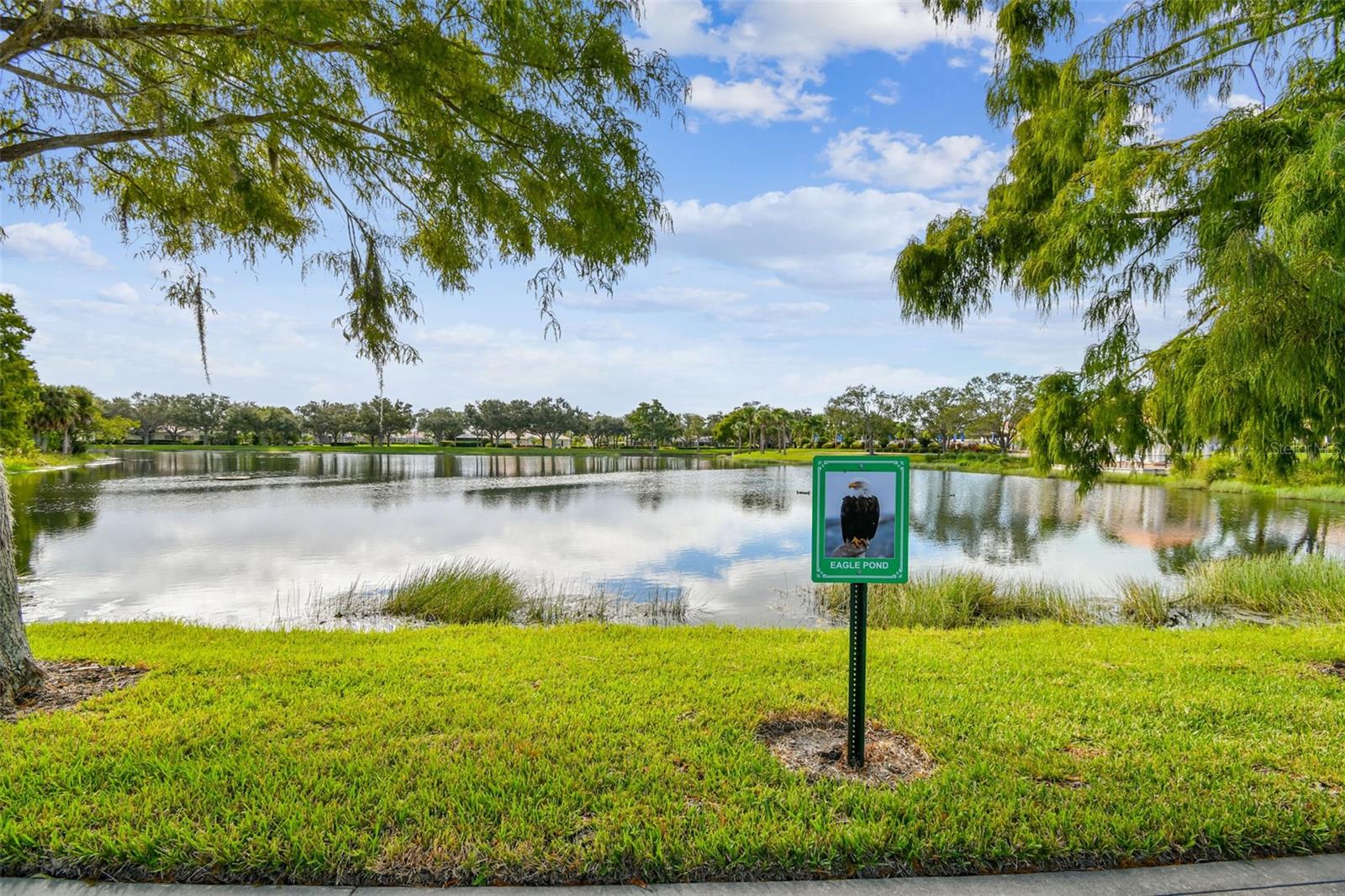 5373 ELISEO ST, SARASOTA, FL, 34238