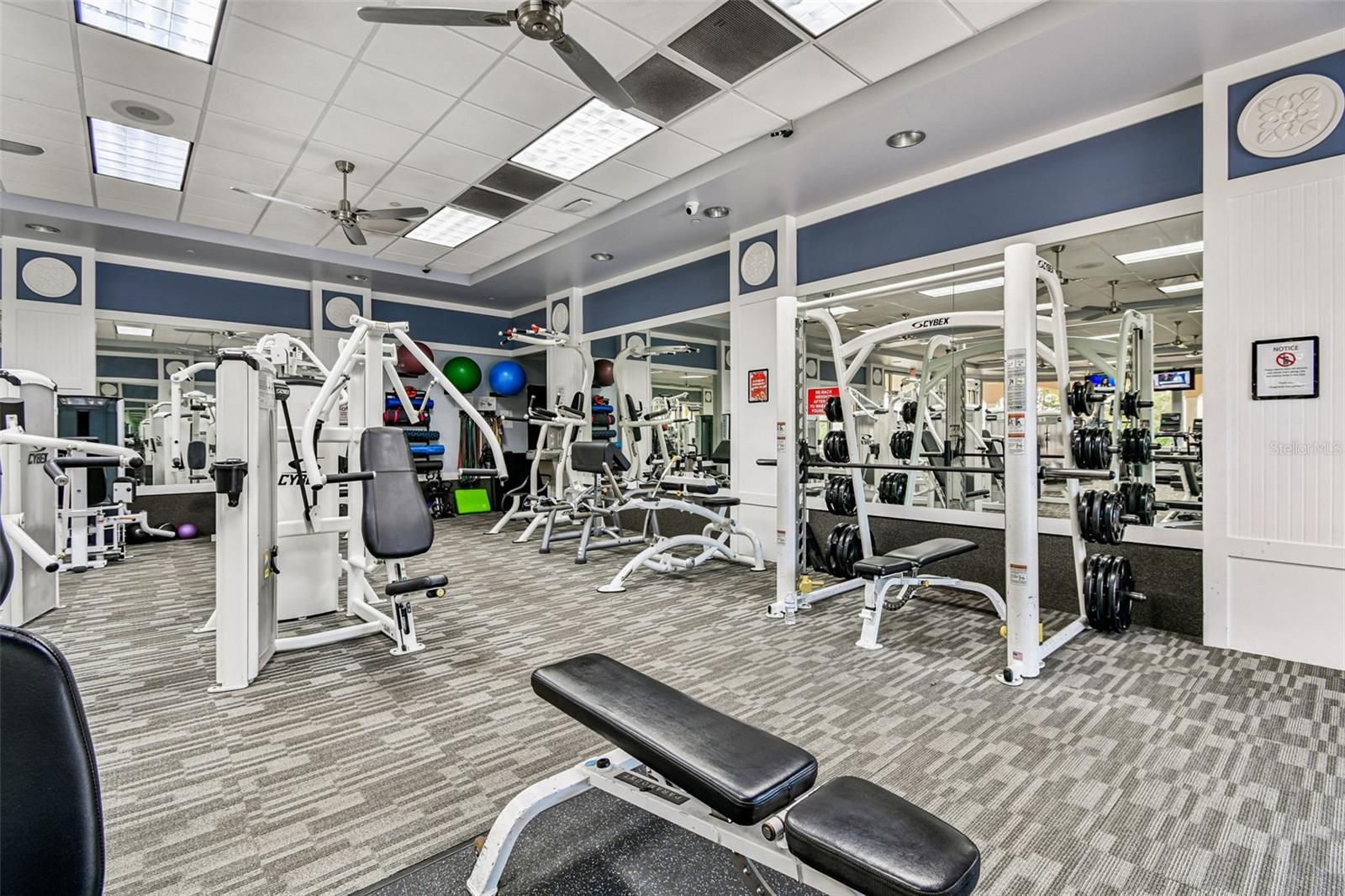 5373 ELISEO ST, SARASOTA, FL, 34238