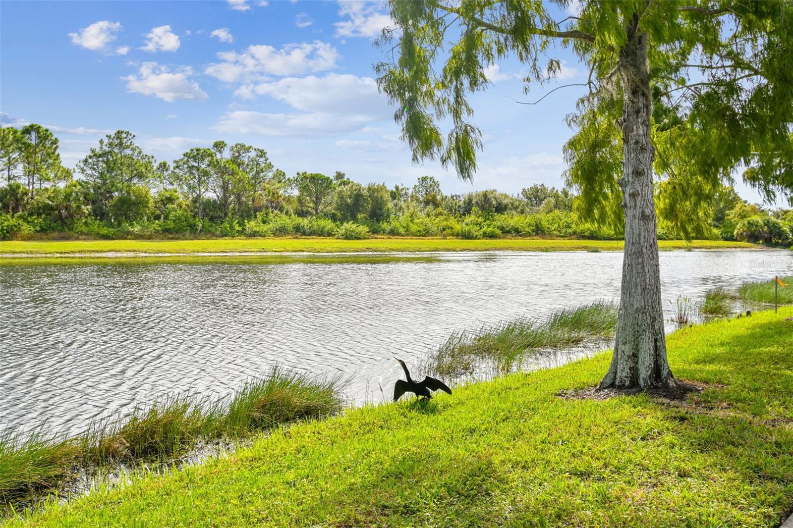 5373 ELISEO ST, SARASOTA, FL, 34238