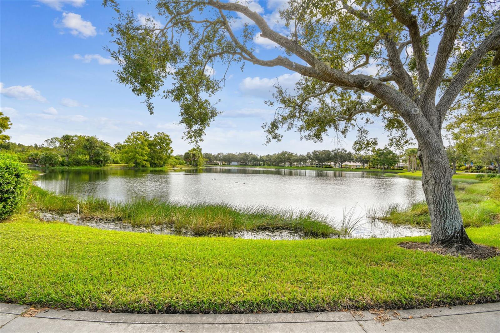 5373 ELISEO ST, SARASOTA, FL, 34238