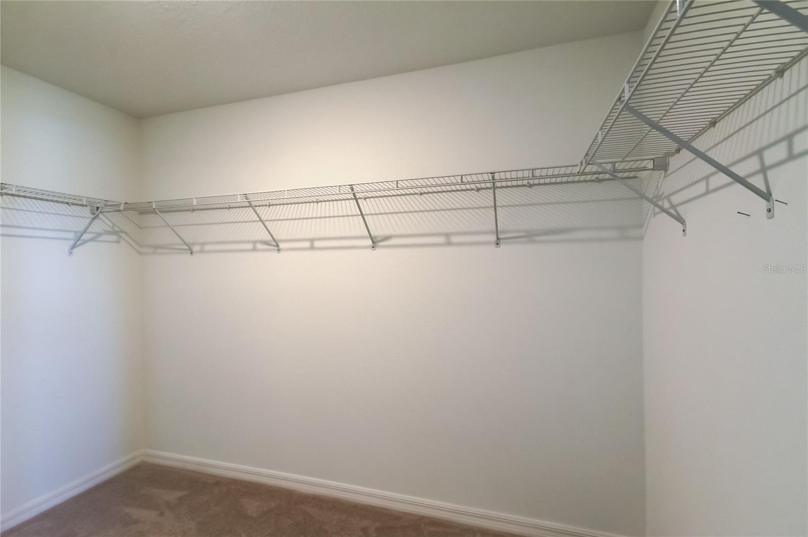 10387 LAVENDER ASTER TRL, SAN ANTONIO, FL, 33576