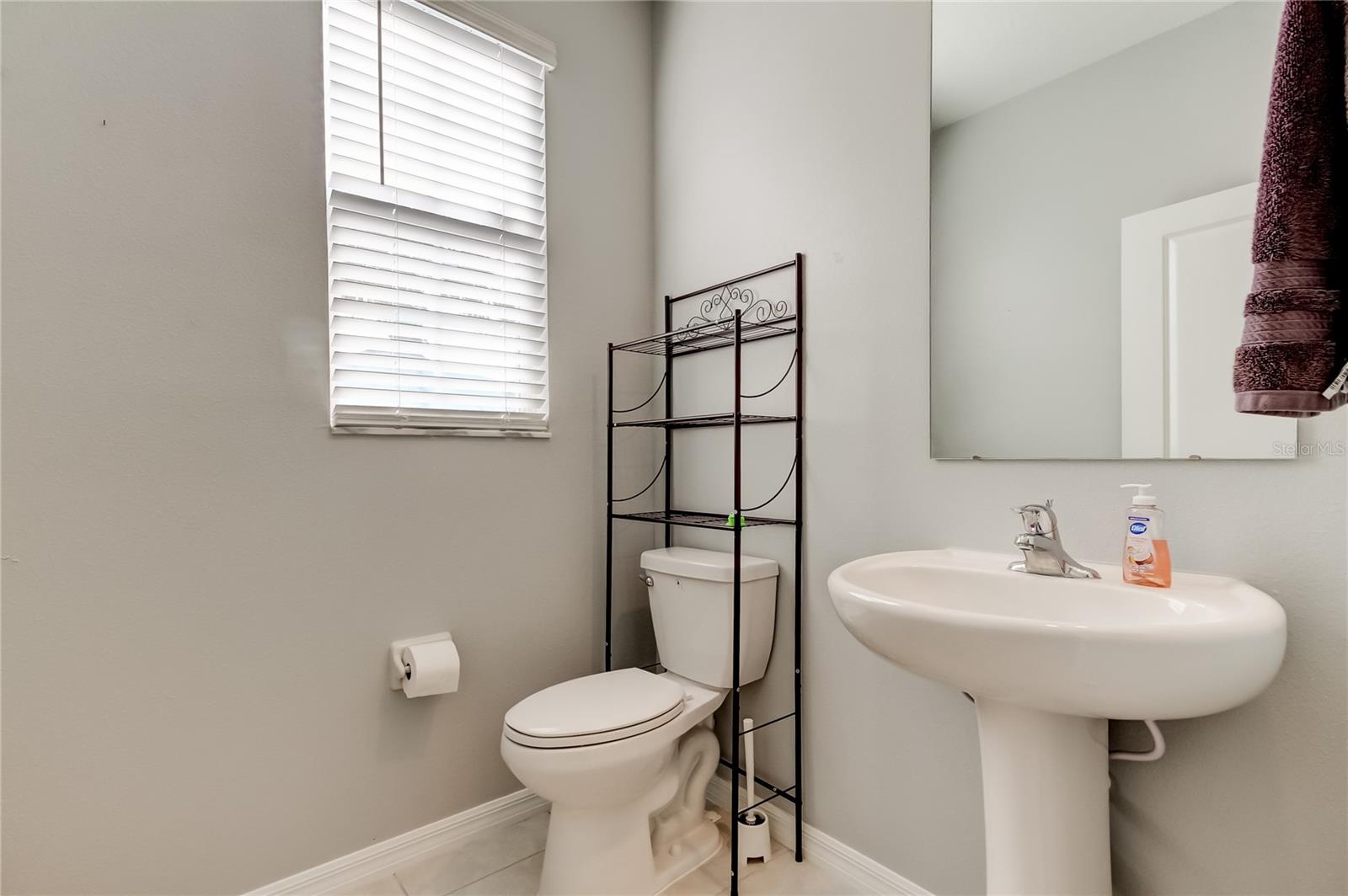 10387 LAVENDER ASTER TRL, SAN ANTONIO, FL, 33576