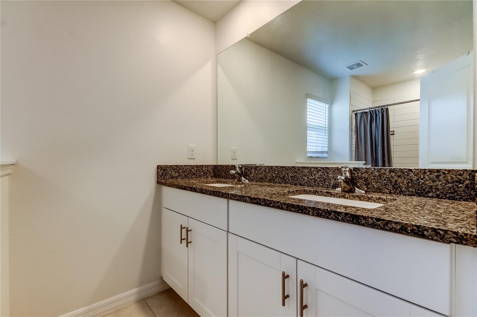 10387 LAVENDER ASTER TRL, SAN ANTONIO, FL, 33576