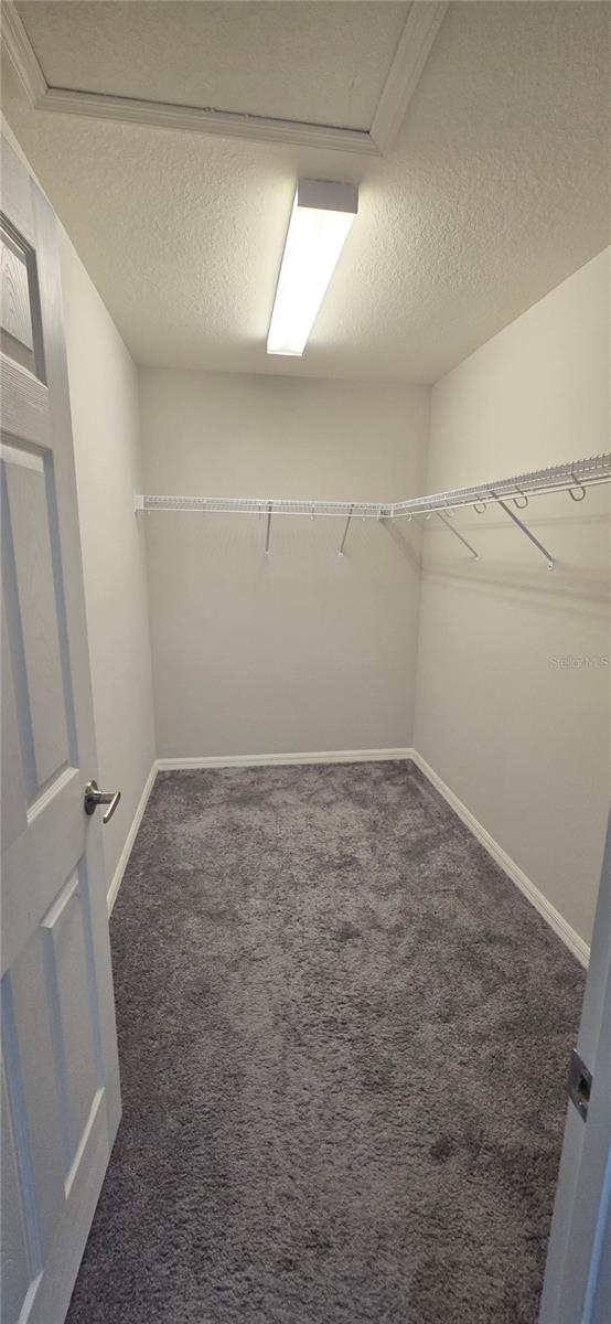 6738 HANWORTH LN, ZEPHYRHILLS, FL, 33541