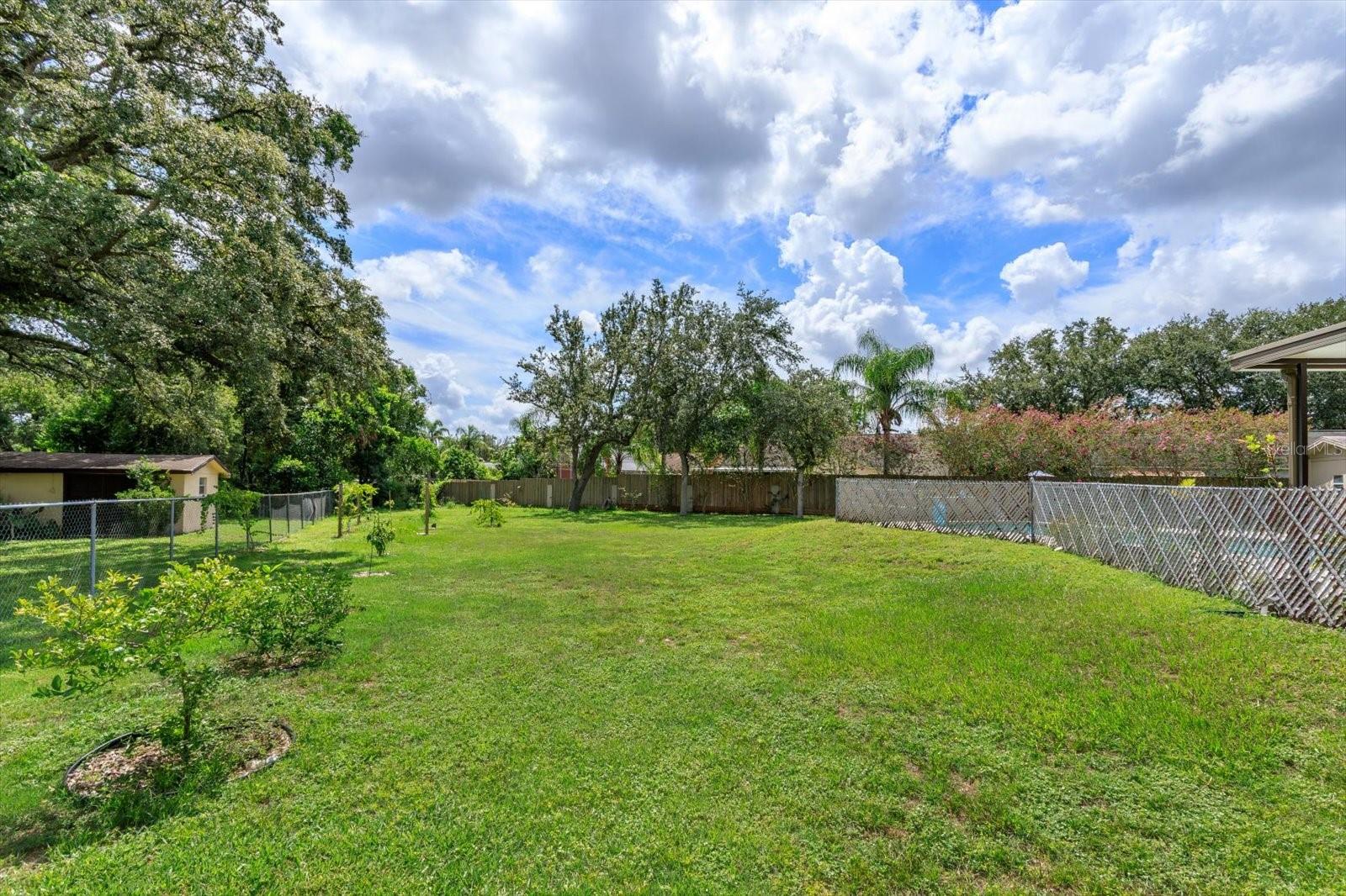 2503 WOODHAVEN CT, ORLANDO, FL, 32818