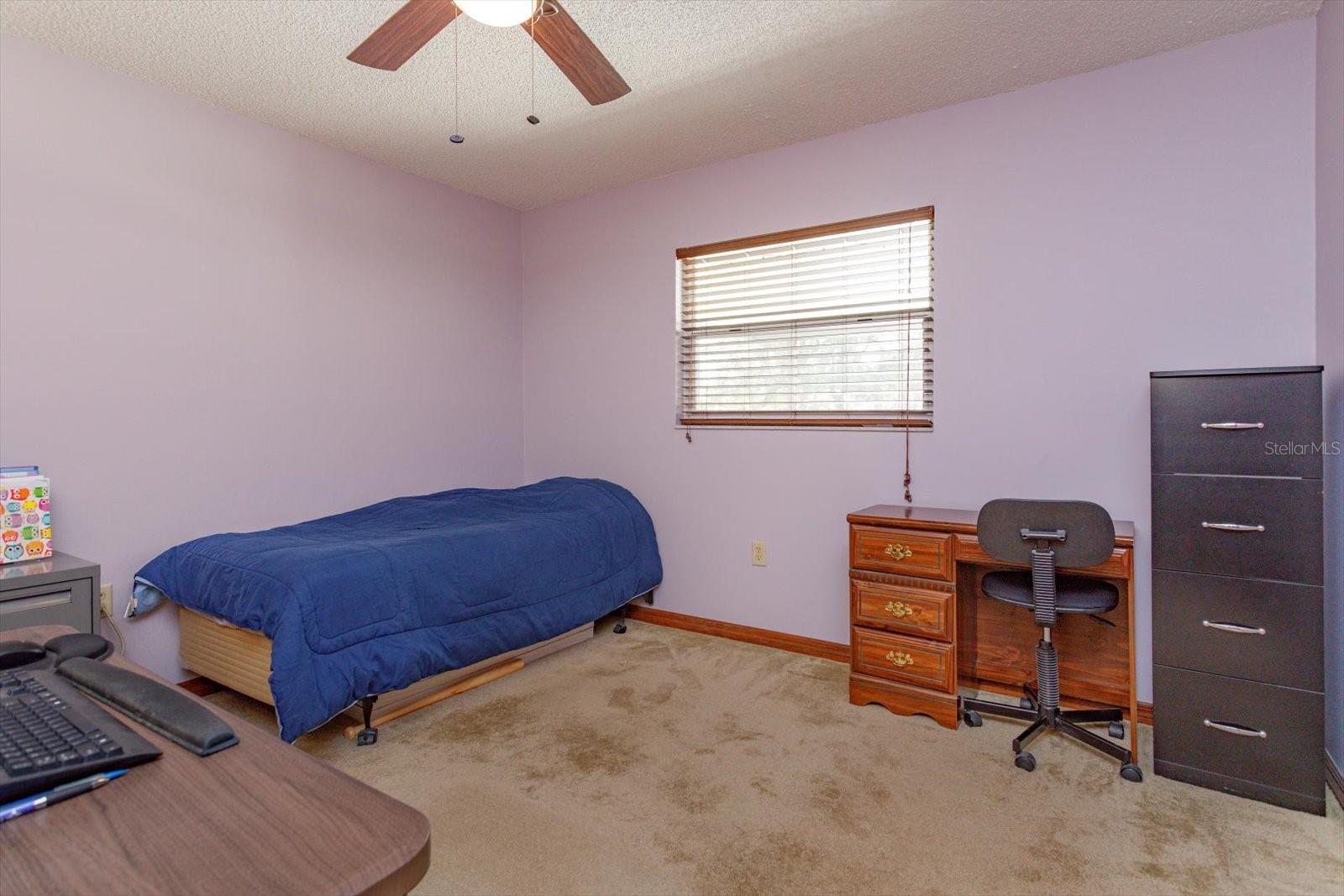 2503 WOODHAVEN CT, ORLANDO, FL, 32818