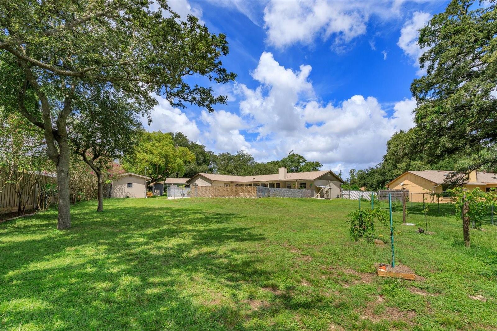 2503 WOODHAVEN CT, ORLANDO, FL, 32818