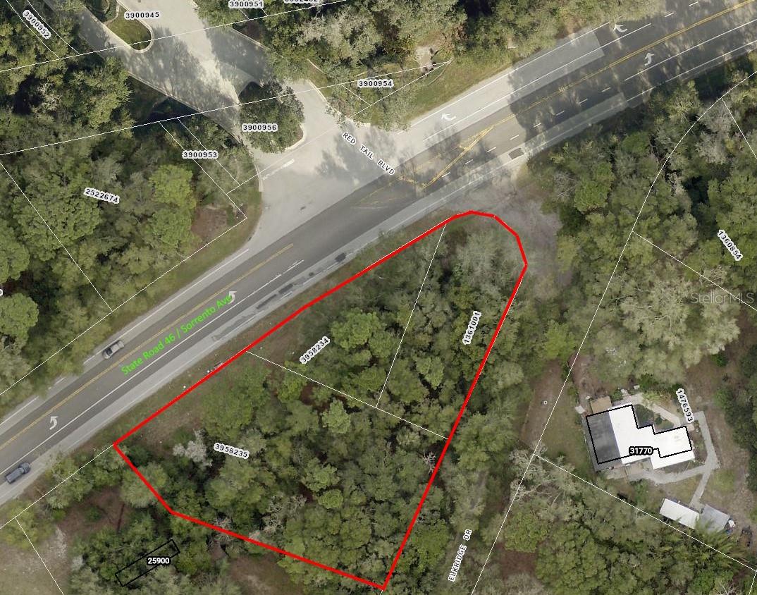 25906 SORRENTO AVE, MOUNT PLYMOUTH, FL, 32776