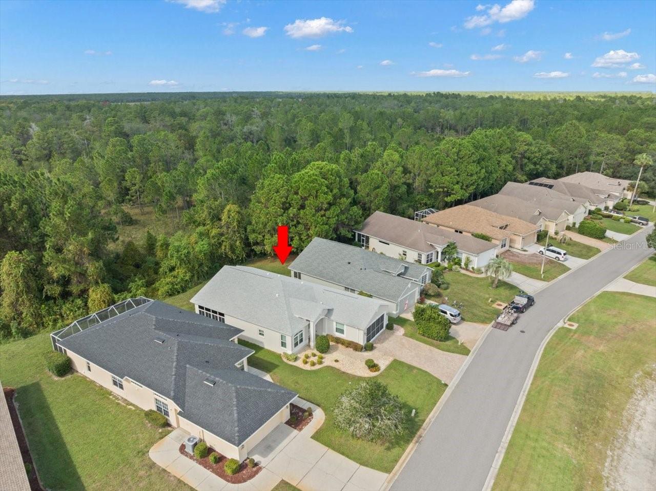 10163 HOLLY BERRY DR, WEEKI WACHEE, FL, 34613