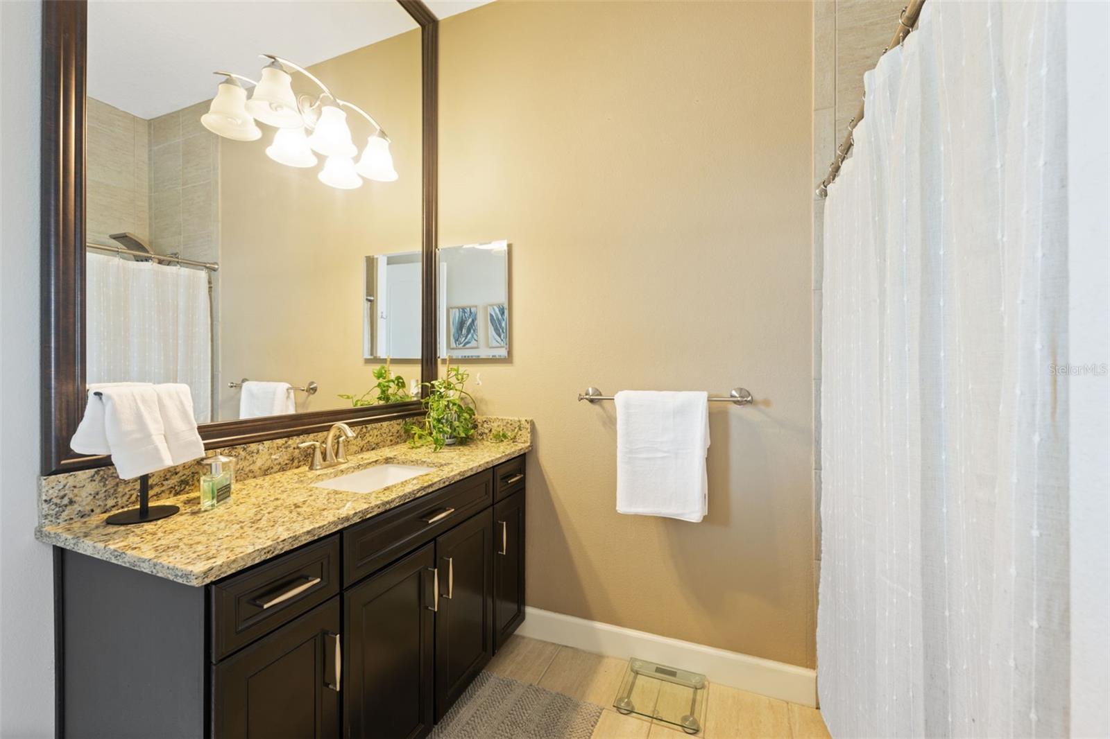 2591 GRAND CYPRESS BLVD, PALM HARBOR, FL, 34684