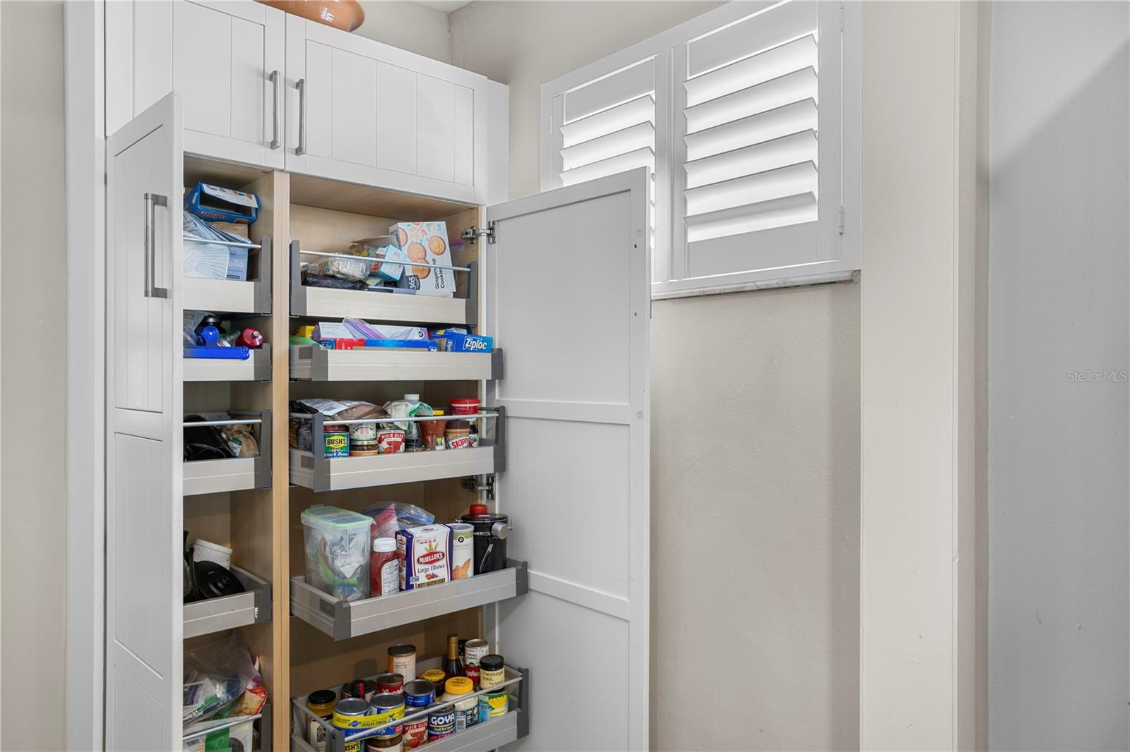 3906 W VASCONIA ST, TAMPA, FL, 33629