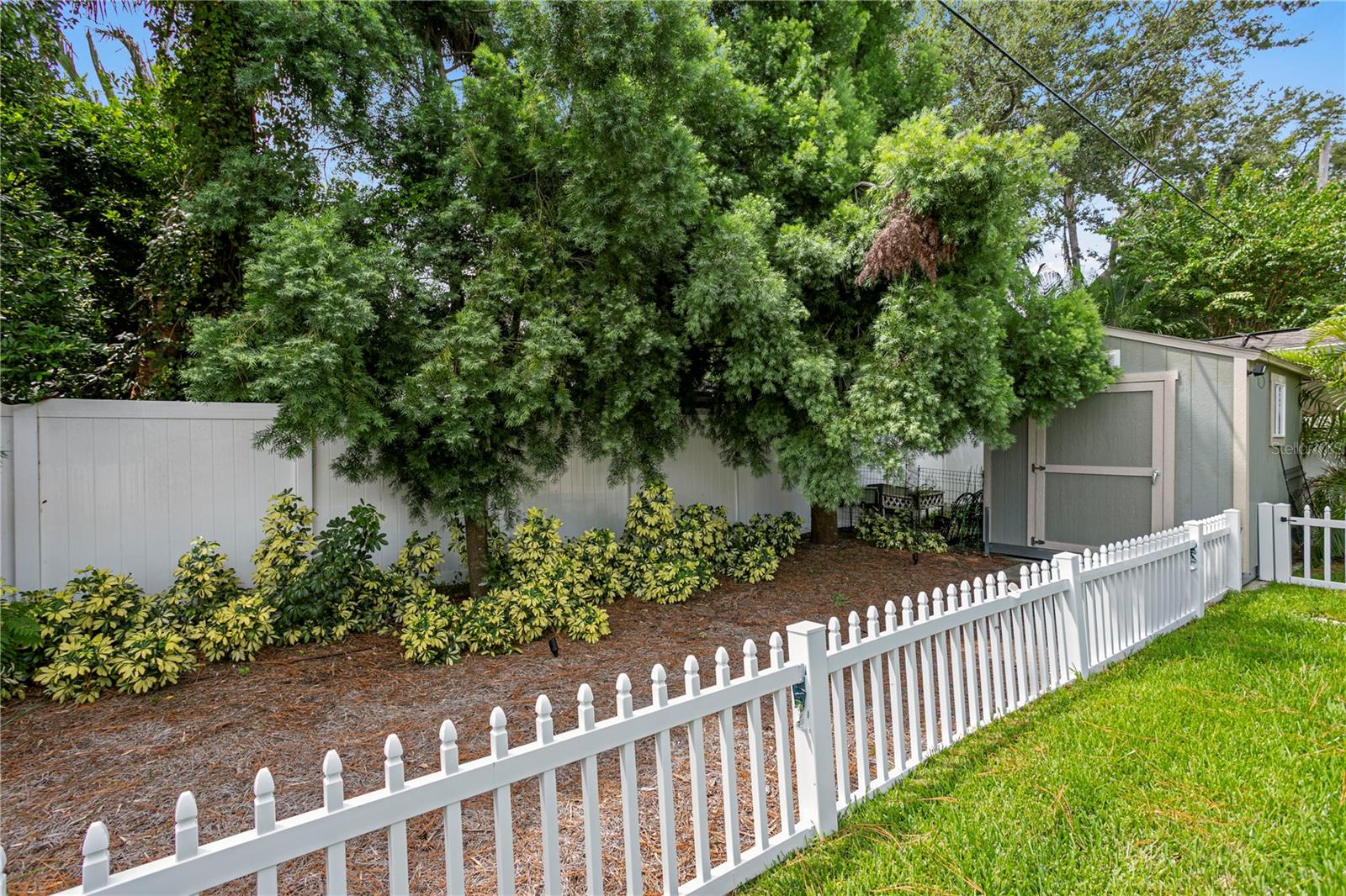 3906 W VASCONIA ST, TAMPA, FL, 33629