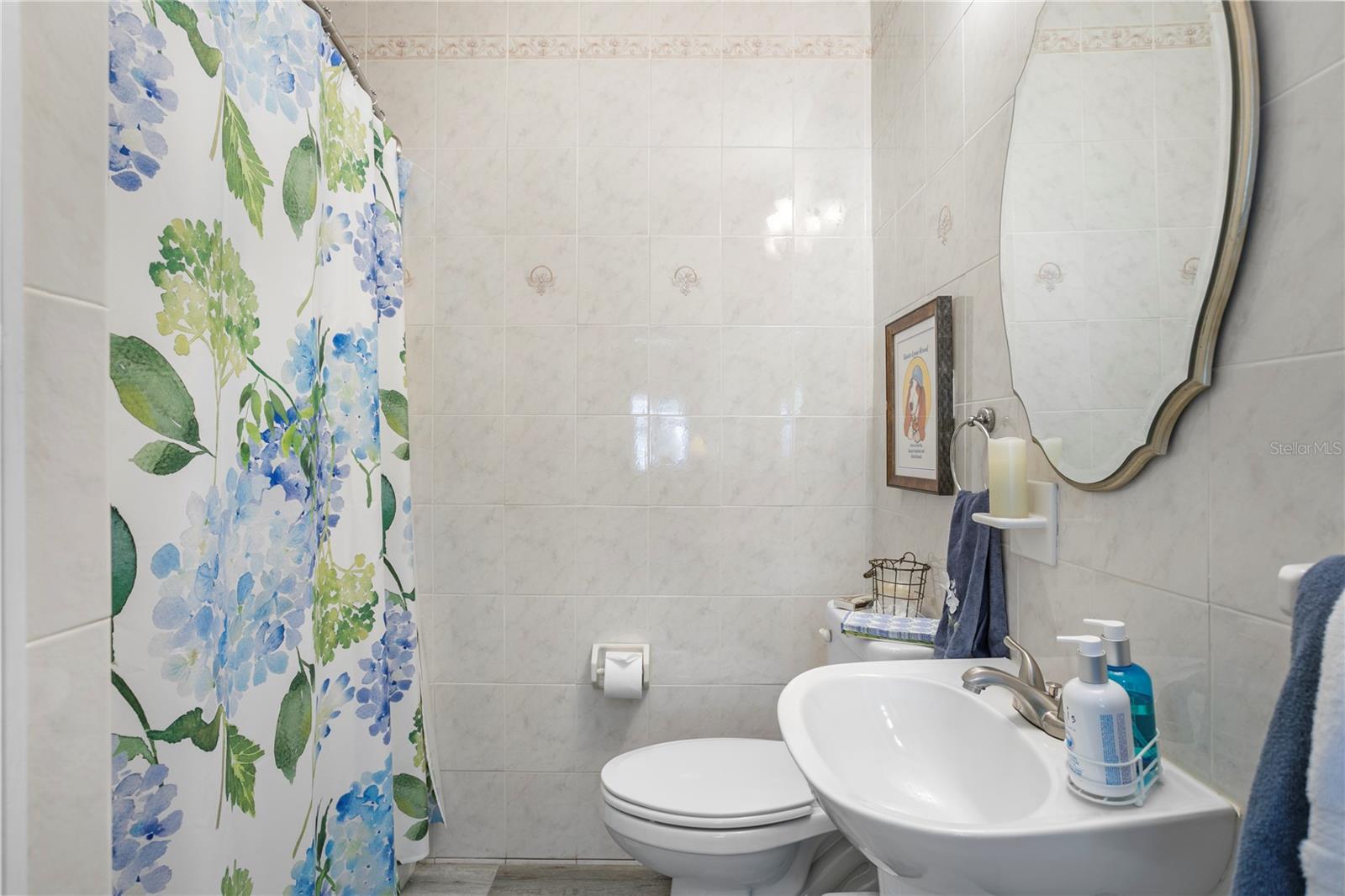 3906 W VASCONIA ST, TAMPA, FL, 33629