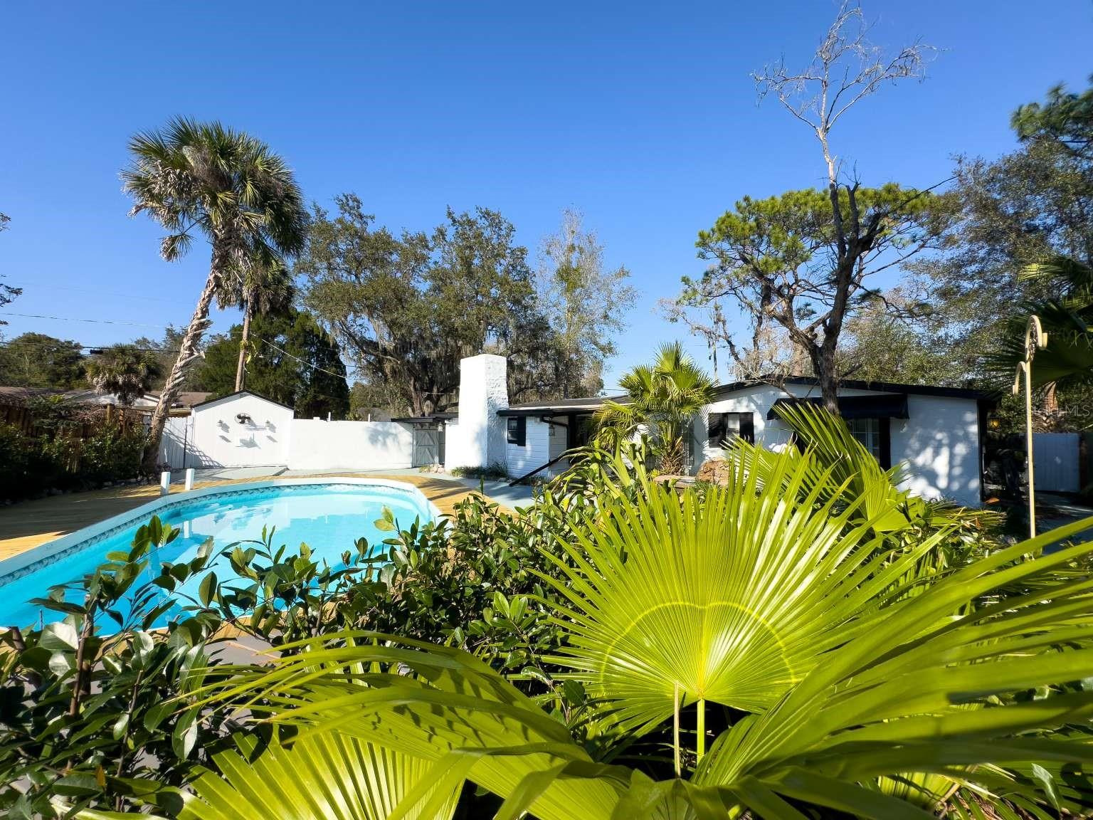 12116 N 52ND ST, TEMPLE TERRACE, FL, 33617