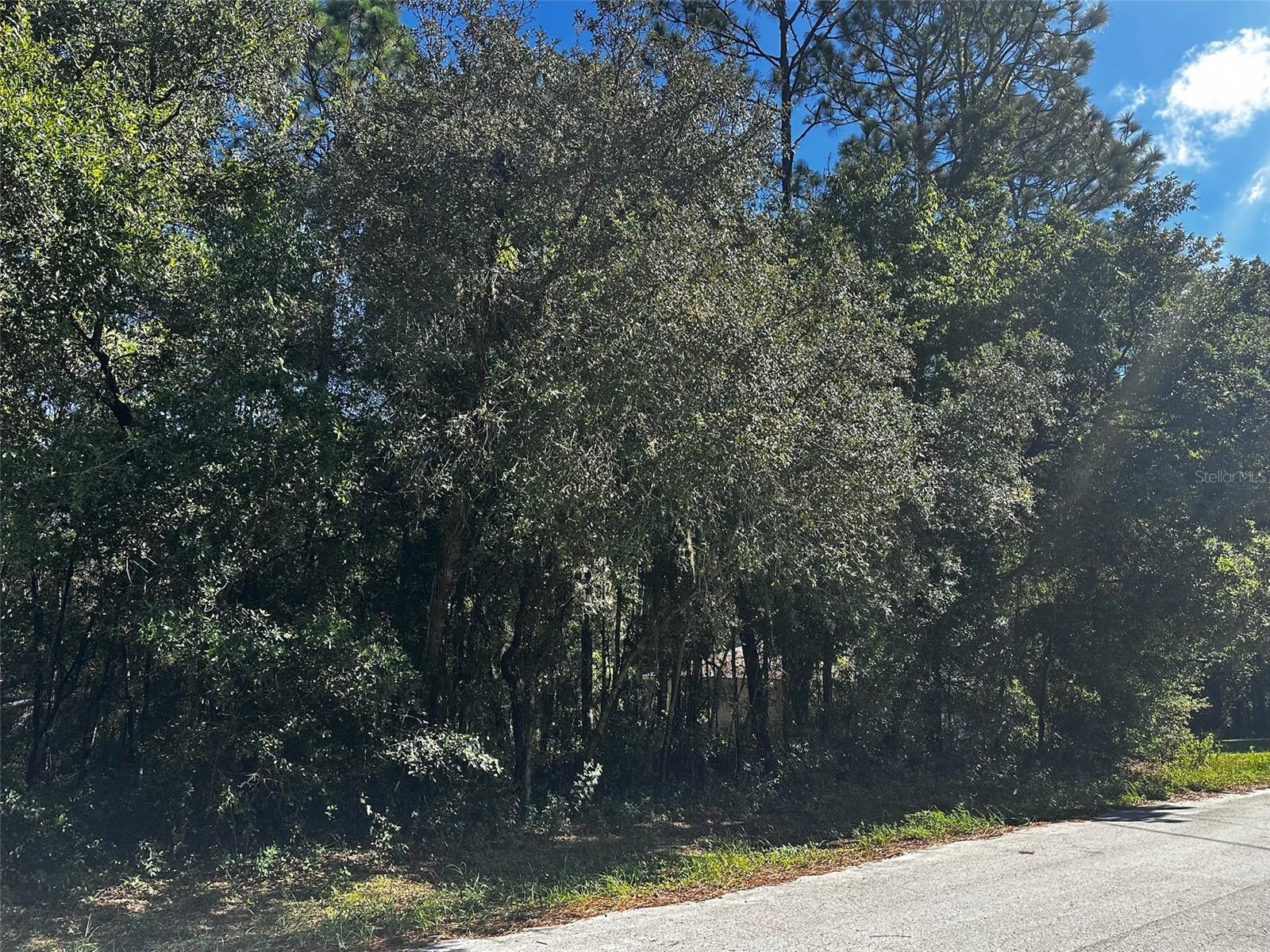 3301 E ANDERSON ST, INVERNESS, FL, 34453