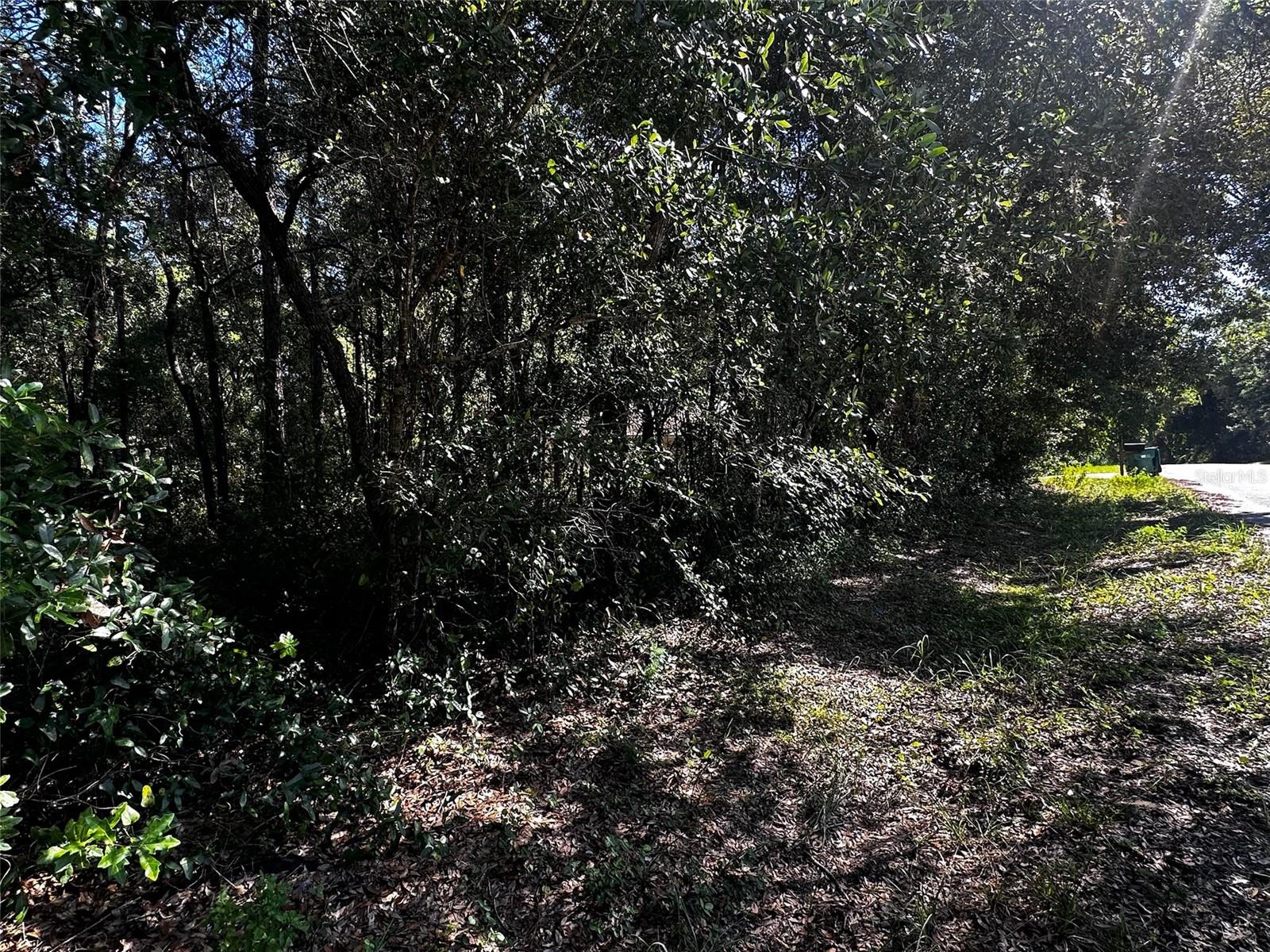 3301 E ANDERSON ST, INVERNESS, FL, 34453