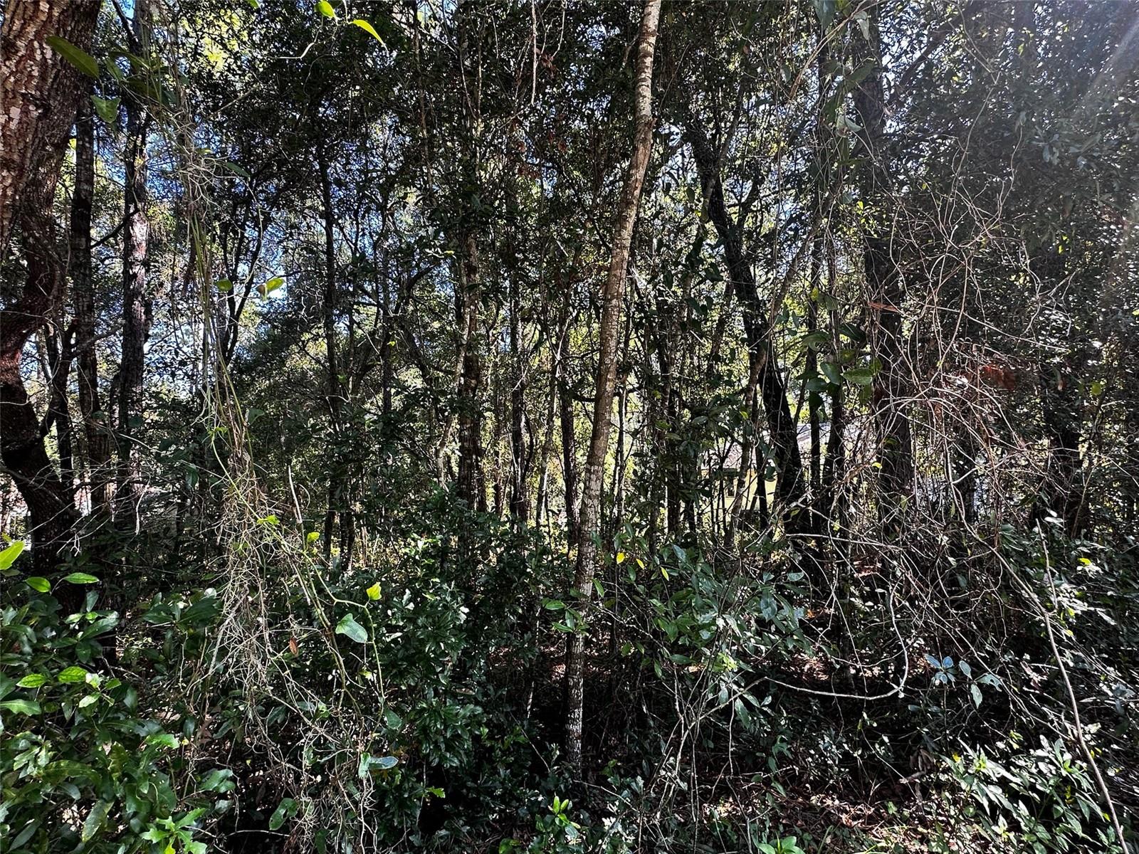 3301 E ANDERSON ST, INVERNESS, FL, 34453