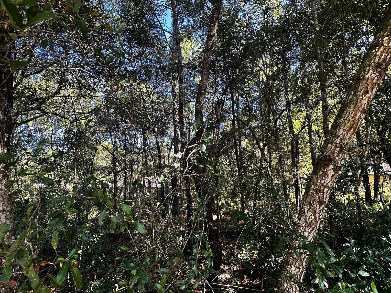 3301 E ANDERSON ST, INVERNESS, FL, 34453