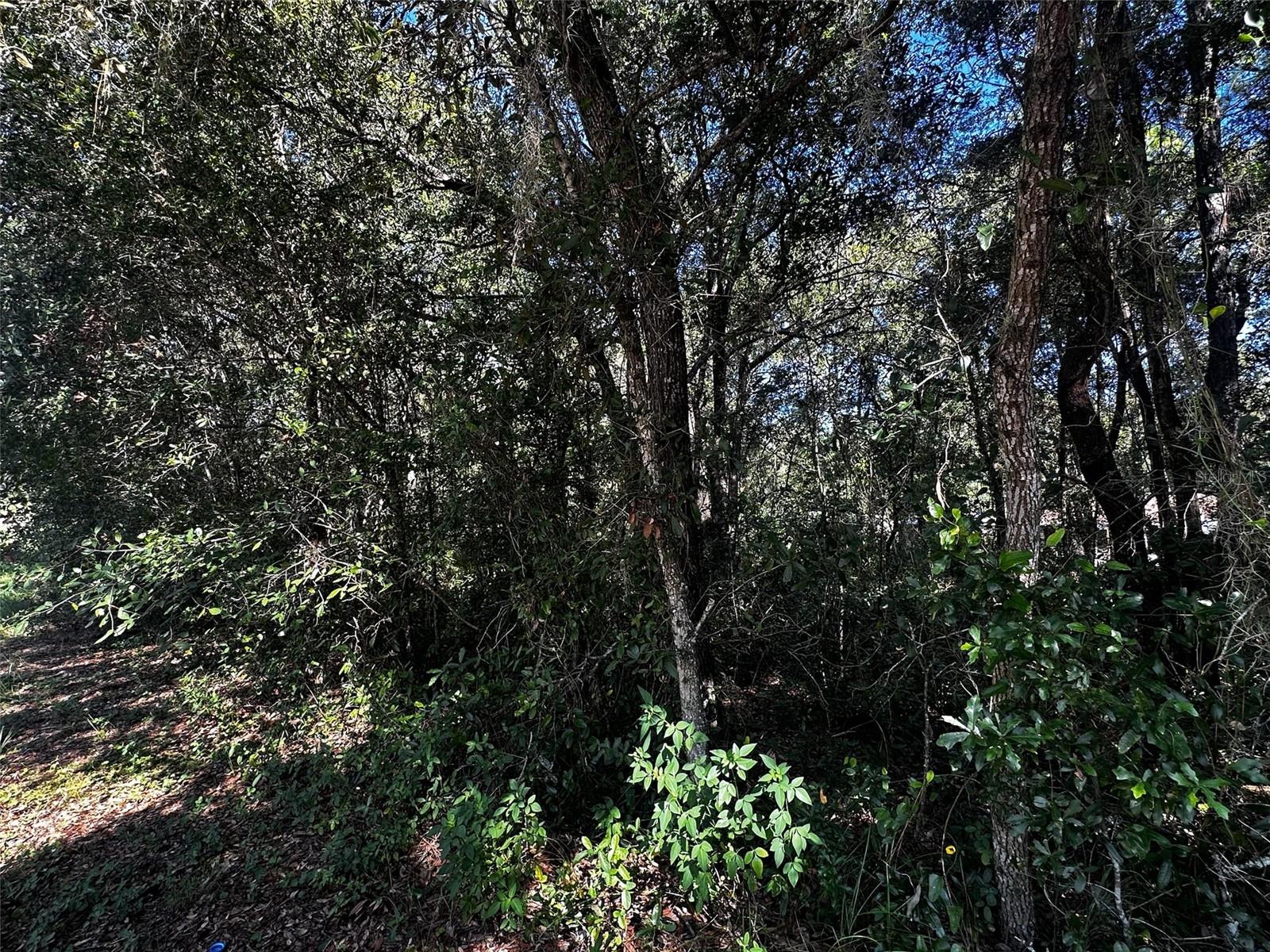 3301 E ANDERSON ST, INVERNESS, FL, 34453