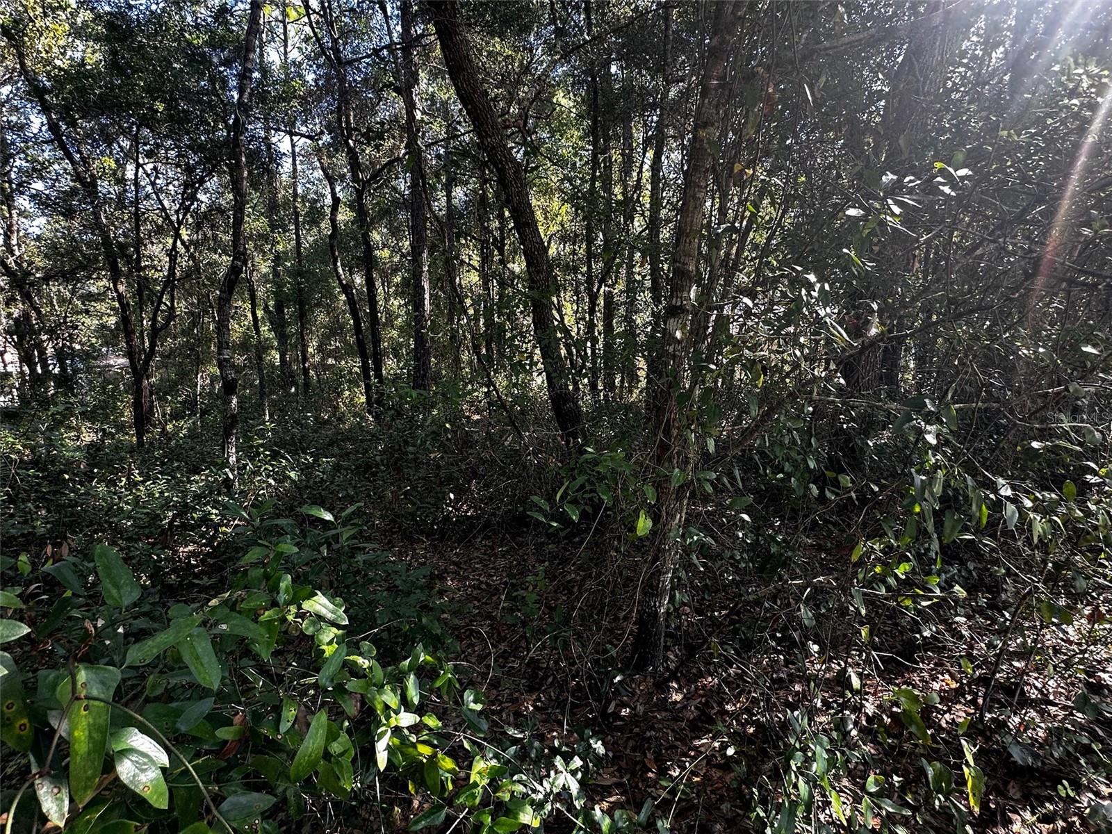 3301 E ANDERSON ST, INVERNESS, FL, 34453