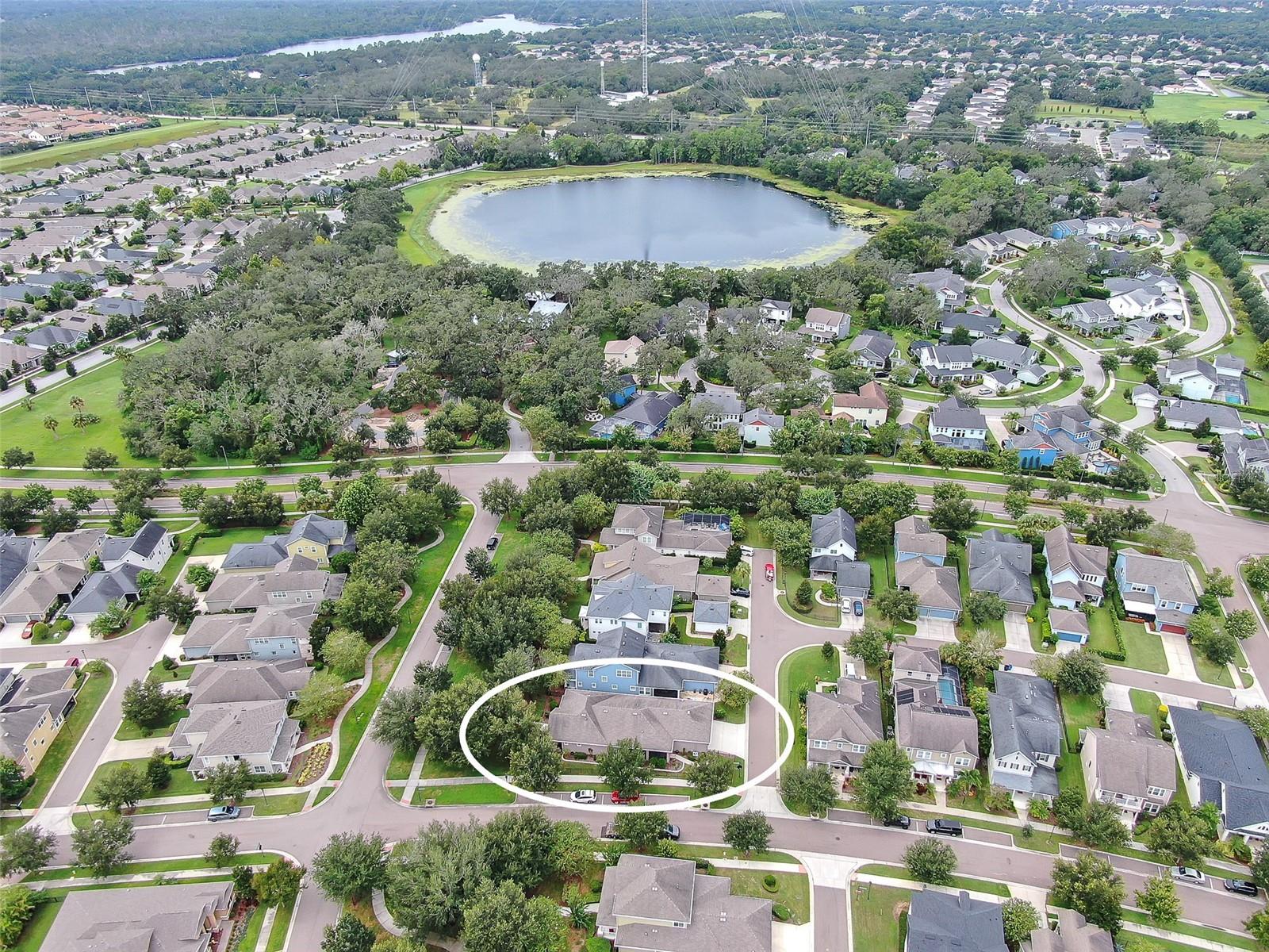 6013 SHELL RIDGE DR, LITHIA, FL, 33547