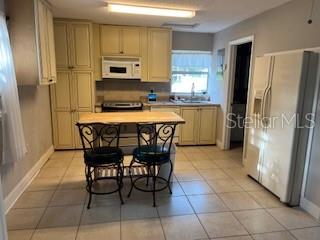 17511 CARTHAGE AVE, SPRING HILL, FL, 34610