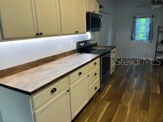 17511 CARTHAGE AVE, SPRING HILL, FL, 34610