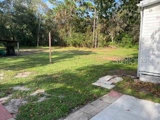 17511 CARTHAGE AVE, SPRING HILL, FL, 34610