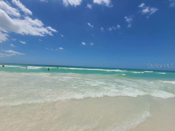 3360 S OSPREY AVE #102B, SARASOTA, FL, 34239