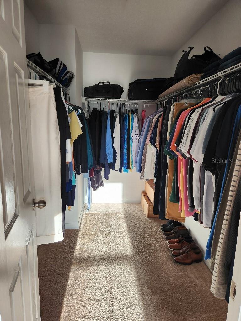 4333 HIGHCROFT DR, WESLEY CHAPEL, FL, 33545