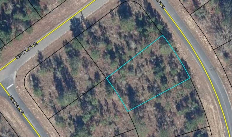 ALLADIN DR, CHIPLEY, FL, 32428