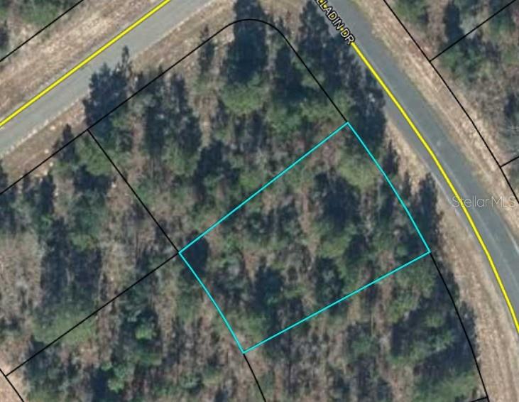 ALLADIN DR, CHIPLEY, FL, 32428