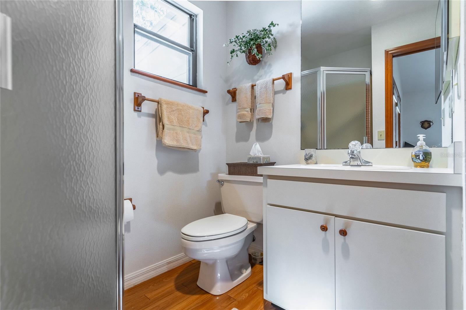 121 N LAKE GEORGE DR, GEORGETOWN, FL, 32139