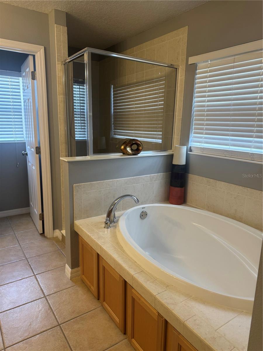 117 HENLEY CIR, DAVENPORT, FL, 33896